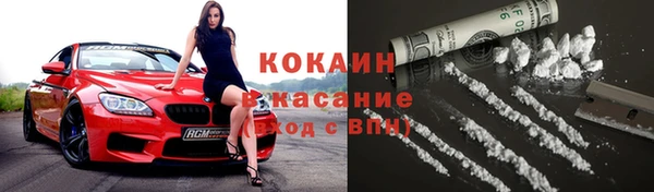 молекула духа Богородицк