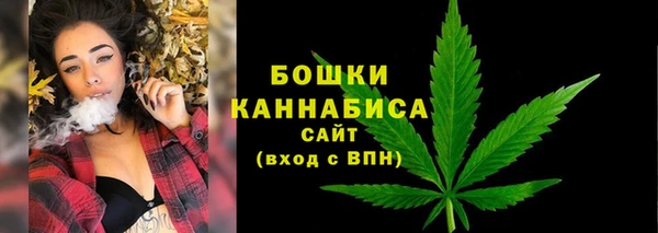 молекула духа Богородицк