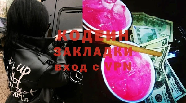 молекула духа Богородицк