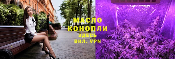 молекула духа Богородицк
