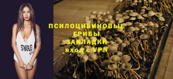 mdpv Богданович