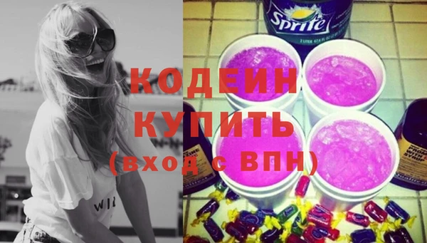 молекула духа Богородицк