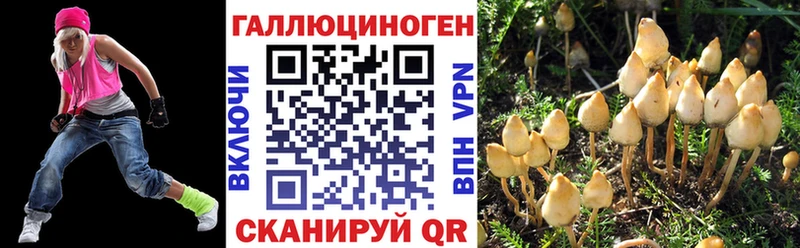 Галлюциногенные грибы Psilocybe  Купить закладки  Гаврилов Посад 