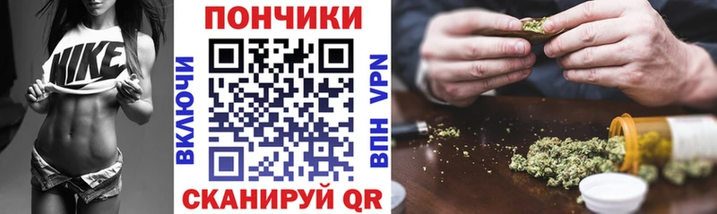 Купить где  Гаврилов Посад  Каннабис индика 